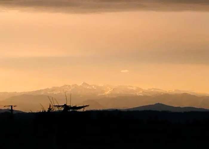 La Coquille Bed & Breakfast *